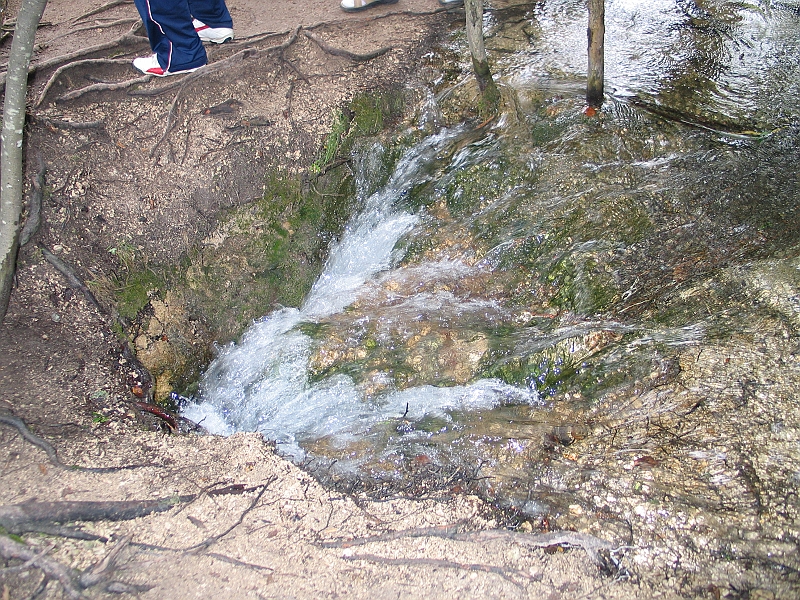 Original image